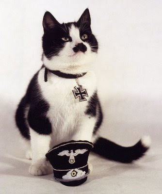 Hitler+Cat.jpg