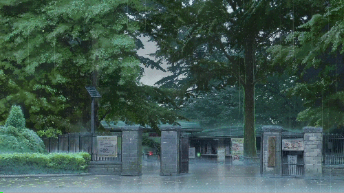 d9e93f5ce187a253.gif