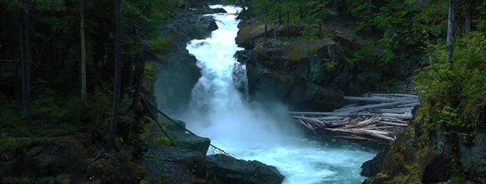 6dd8d6863ee98680.gif