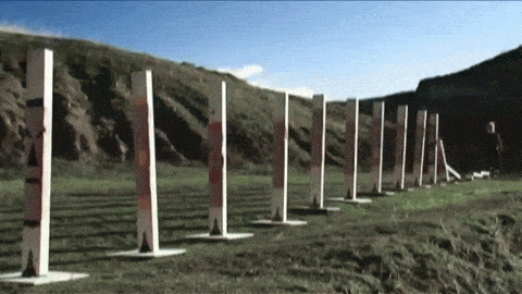 7331ee08702fadac.gif