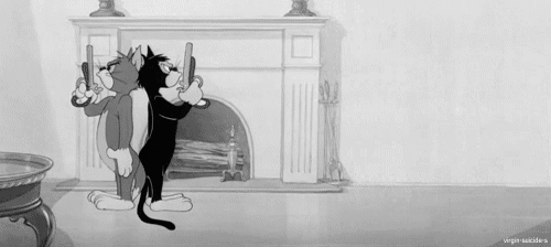 c231314c93083f29.gif