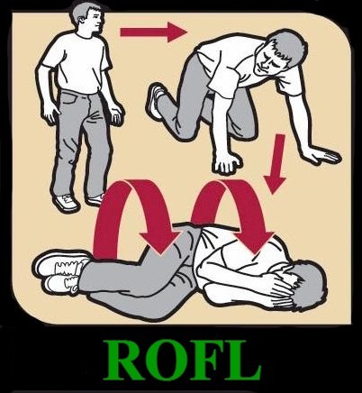 how_to_rofl.jpeg