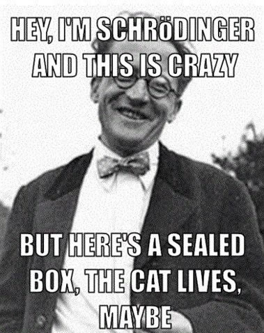 schroedinger-call-me-maybe.jpg