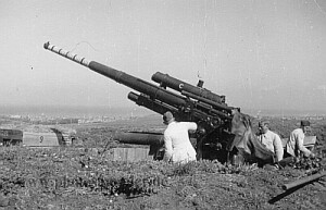 flak.jpg