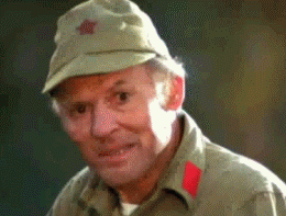 29479a401084365c.gif