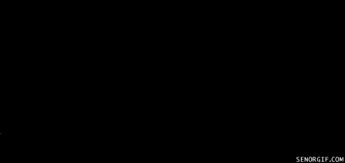 ad256ad98af6219f.gif