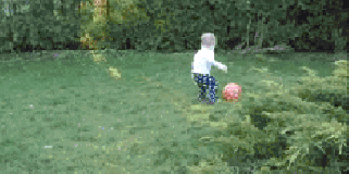 d3aae8fc8dd72ff6.gif