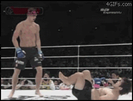 8bfbe8adfd267d43.gif