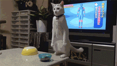 e2aec92835f6b555.gif