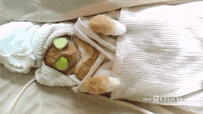 a8ac427dce13e6ab.gif