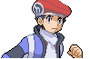 Pokemon_Trainers_of_Sinnoh_by_DandamanV.gif