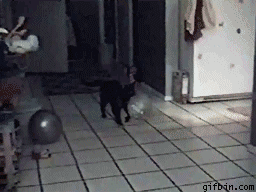 kbq0z.gif