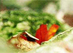 124a1d84ef7b1c3b.gif