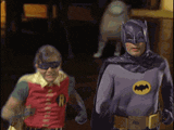 giphy.gif