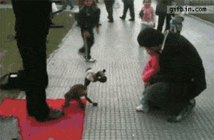 6ec73abce7968b8b.gif