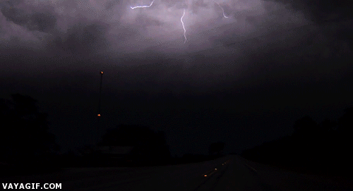 f330513570f4b804.gif
