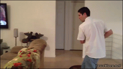 12cdf578aac3ed6c.gif
