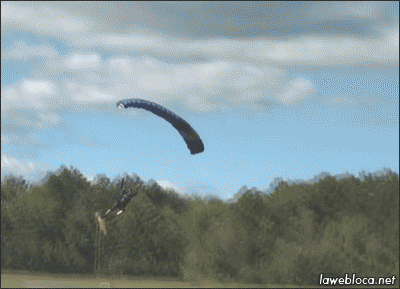 941d3985533ce386.gif