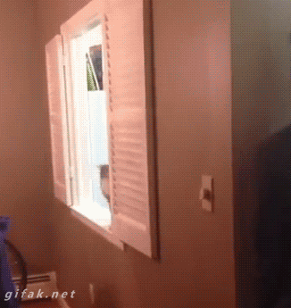 08b148341769e582.gif