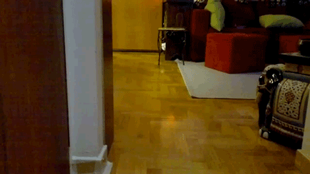 385049e4731cd940.gif