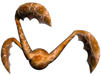 MF5B.png