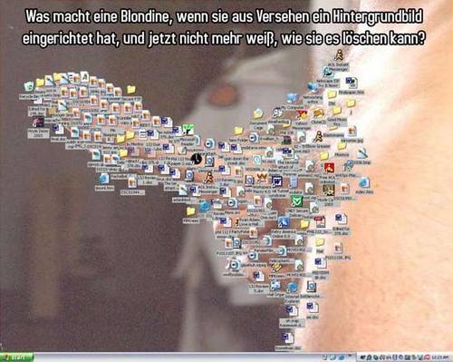 826-desktop-hintergrund.jpg