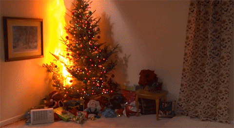 8ee1c01827f3da0a.gif