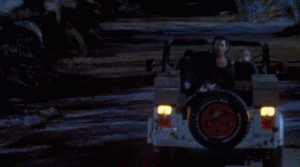 9029d579ca3ff27c.gif