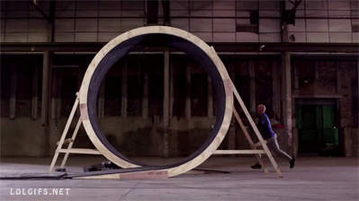 024.gif