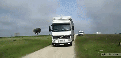1353522507-pigeons-released-from-truck.gif