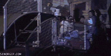 a2fe4825bf81fcee.gif