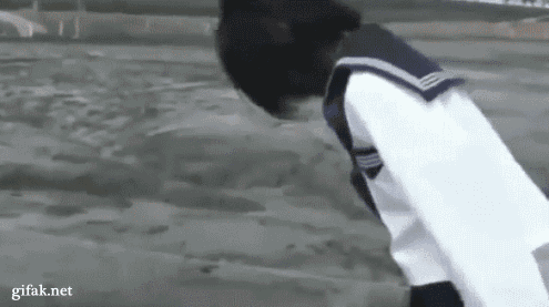 647df7843003774f.gif