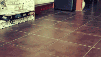 tumblr_mcsxuoCVny1ql2603o1_400.gif