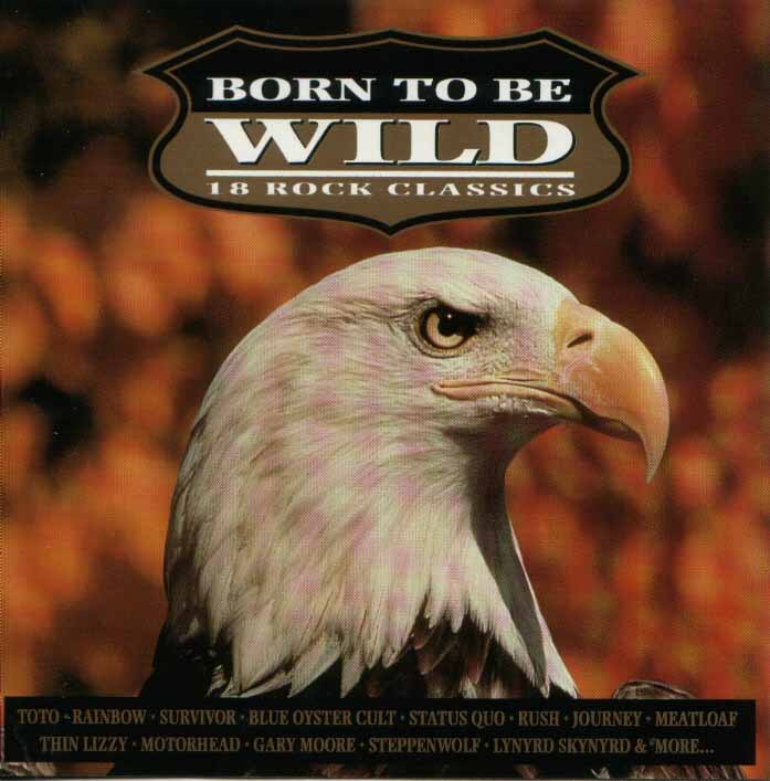 born_to_be_wild_eu_front_big.jpg