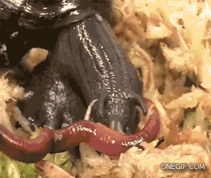 6bf6dd7195e28521.gif