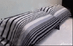bd1822f463091dc9.gif