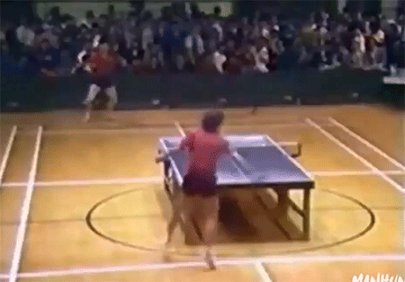 5013245a56642849.gif