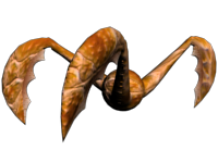 MF5B.png