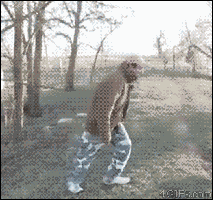 1cac6ce2a3a86d2f.gif