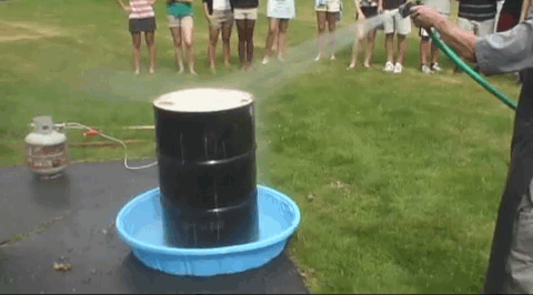 fa42845a73ae4e91.gif