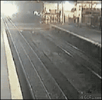 b5b11a2d97e5428d.gif