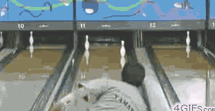 d63ef0cebdfc7685.gif