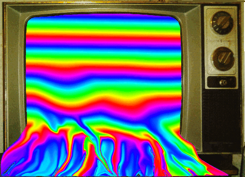 giphy.gif