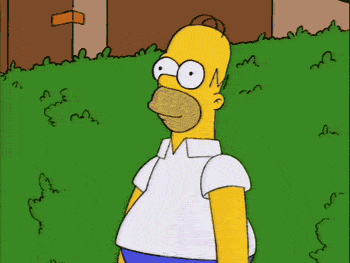 tumblr_lnp6ngKGMR1qbjxm7.gif