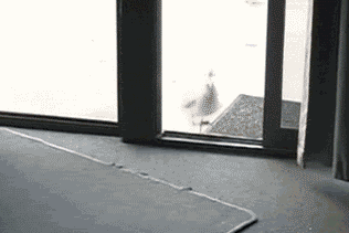 9ff1cd118a247b65.gif