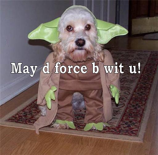 yoda6.jpg