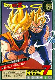 GokuVegetaBuuSagaCard.jpg