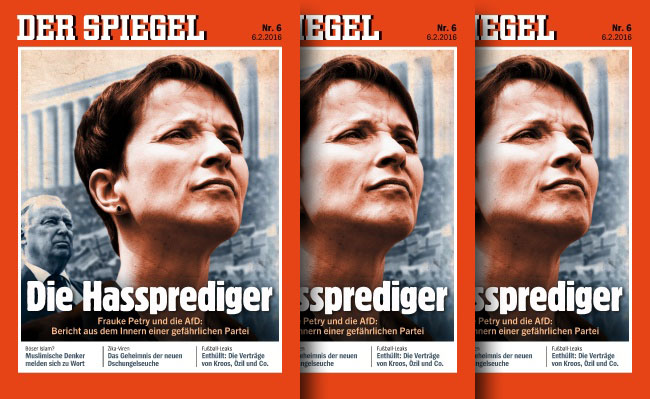 Spiegel_Nr6.jpg